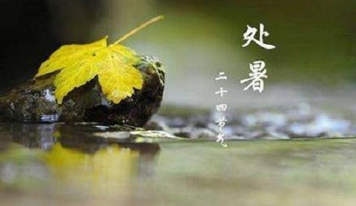 處暑節氣的特點是什么