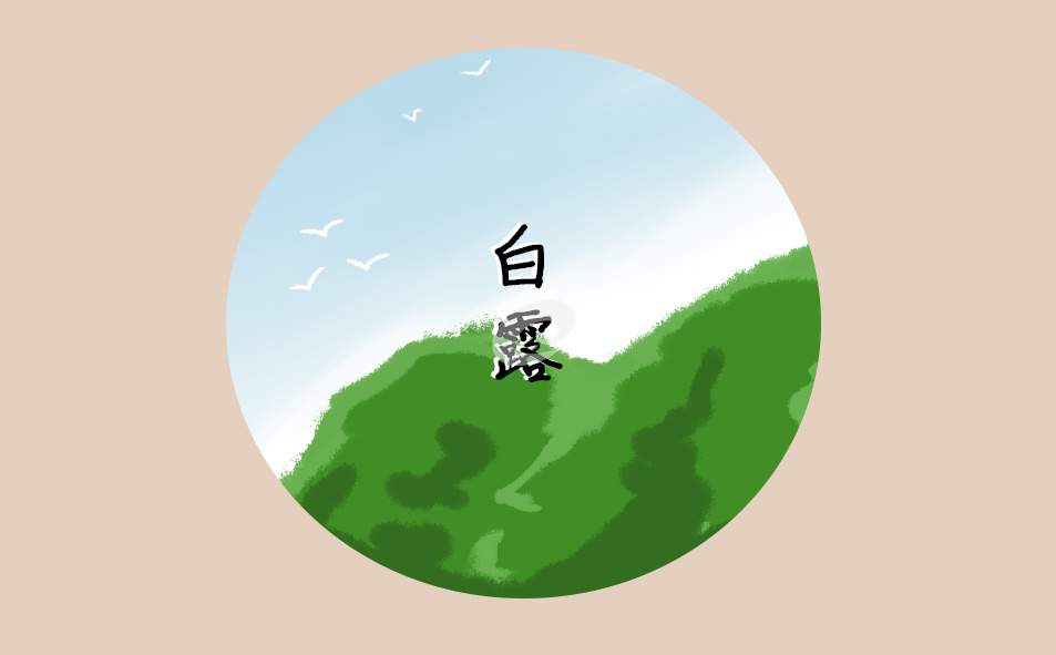 2021白露蔥什么時間種最好