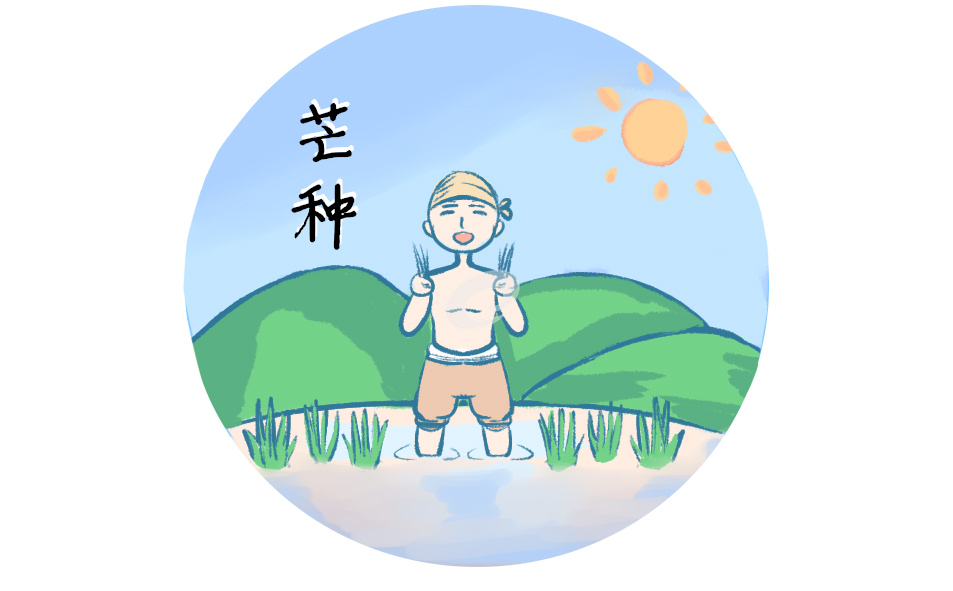 芒種的由來和傳說故事