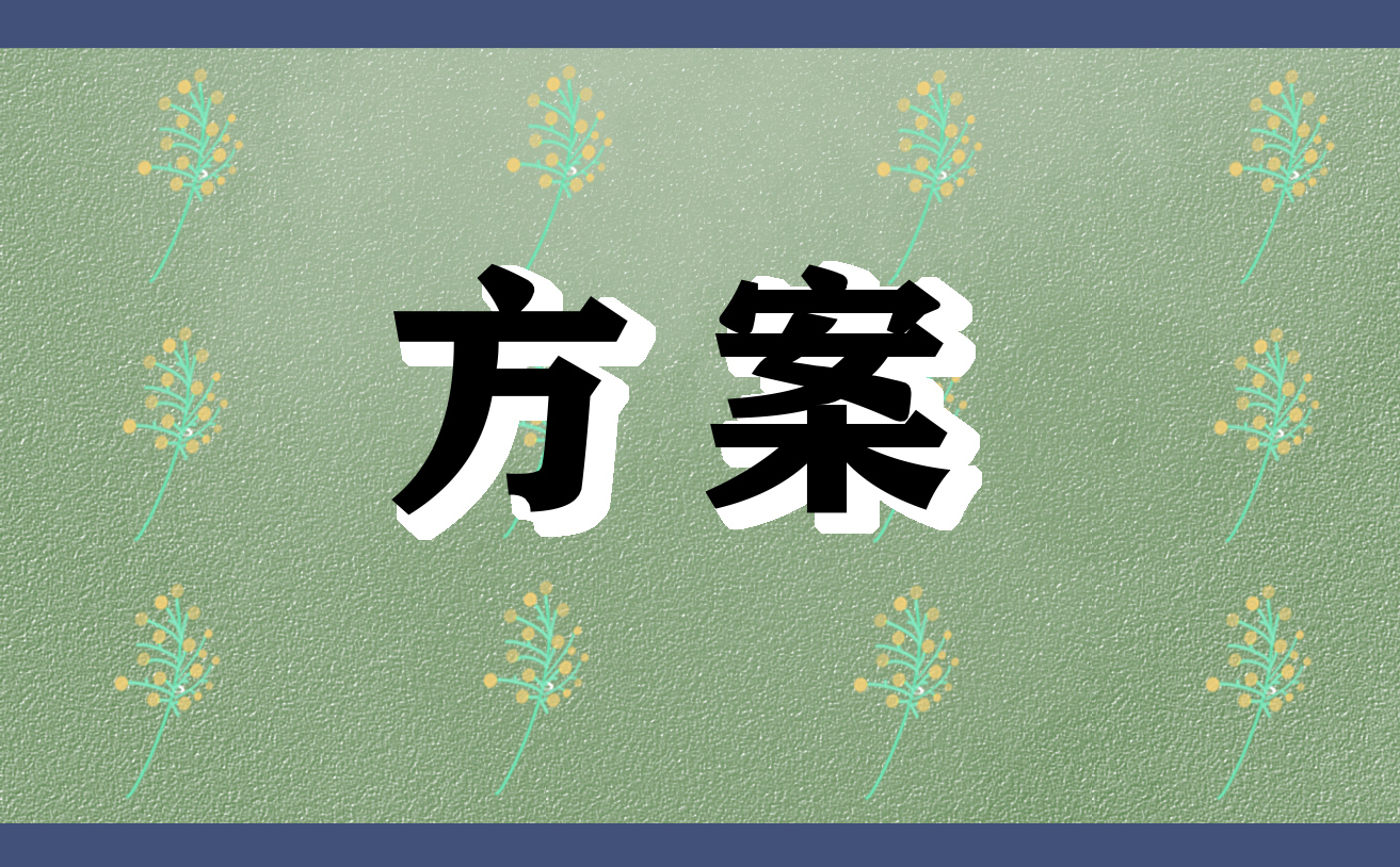 創業網絡營銷方案案例2021