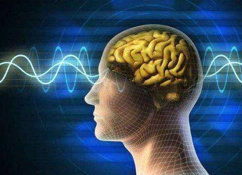 如何科學用腦？這些方法值得掌握