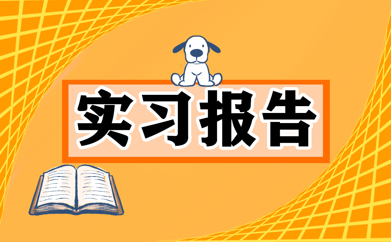 咨詢實習報告